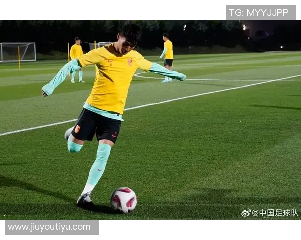 运动数据刘芳专访从绿茵场到人生舞台的足球旅程回顾与展望